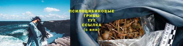 стаф Армянск